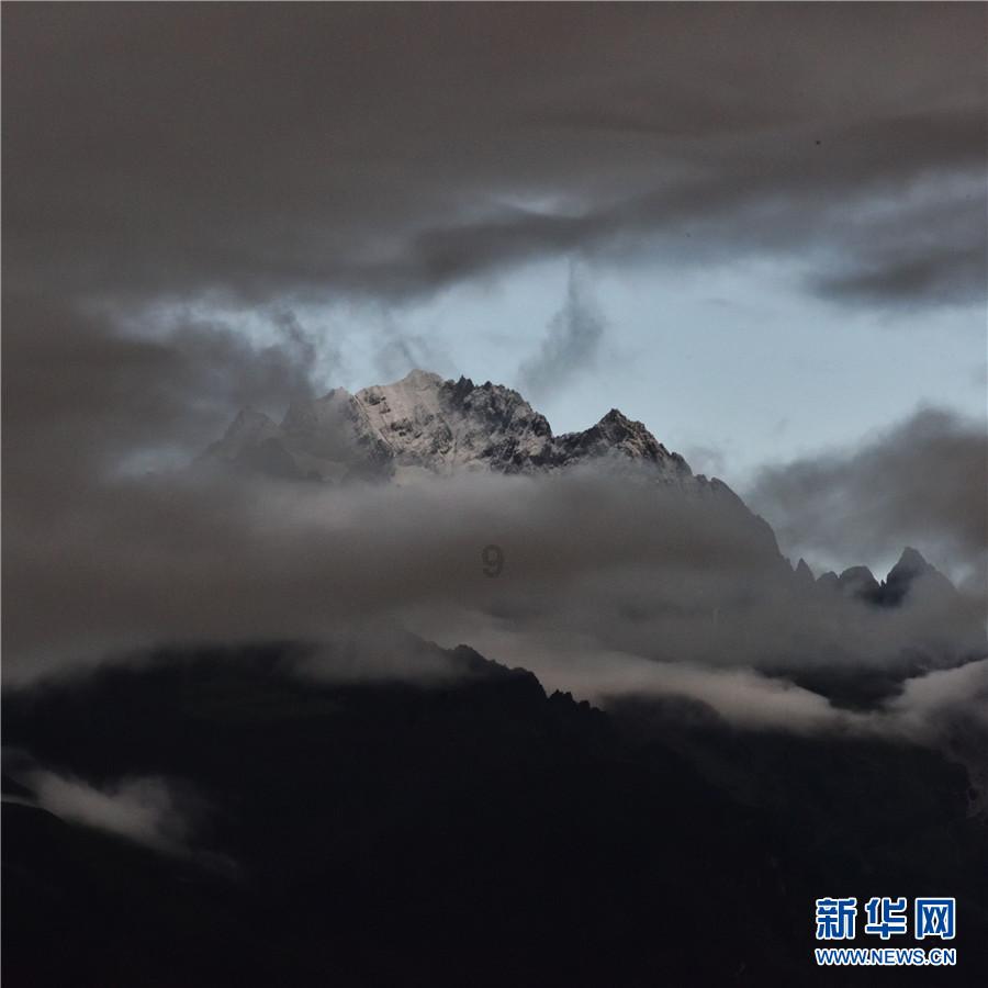 救援达尔马提亚狗